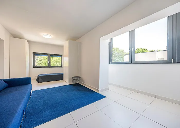 Comfort Korzeniowskiego *