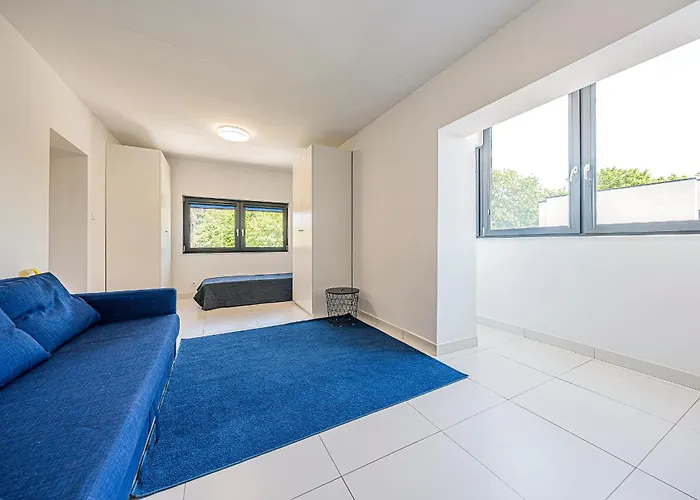 Comfort Korzeniowskiego * Gdynia