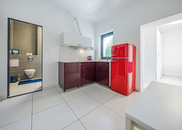 Comfort Korzeniowskiego