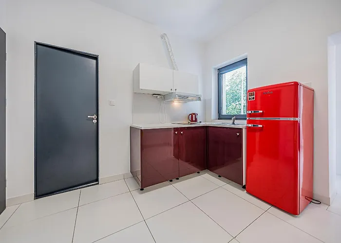 Comfort Korzeniowskiego *