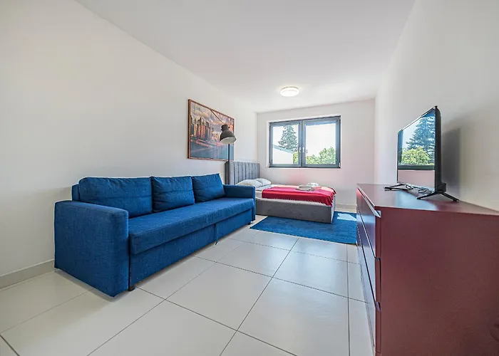 Comfort Korzeniowskiego